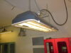 Volledig gerestaureerde bunkerlamp, industriële hanglamp met 5 jaar garantie. Verkrijgbaar in elke RAL kleur en met 3 DIMBARE led tl buizen in bv. warm wit.